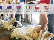 Shearing rates vary across the globe, with Australian rates per sheep on the higher end. FILE PICTURE. 